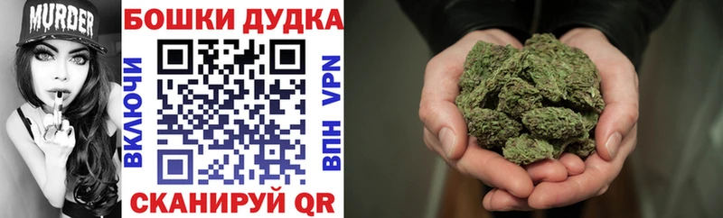 Купить закладку Alpha PVP  Cocaine  Меф  ГАШИШ  Зеленокумск