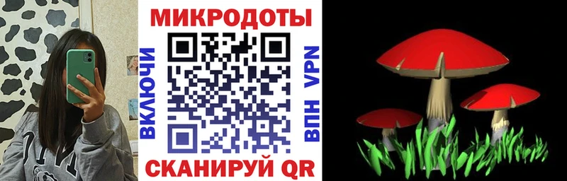 Купить где  Зеленокумск  Псилоцибиновые грибы Magic Shrooms 